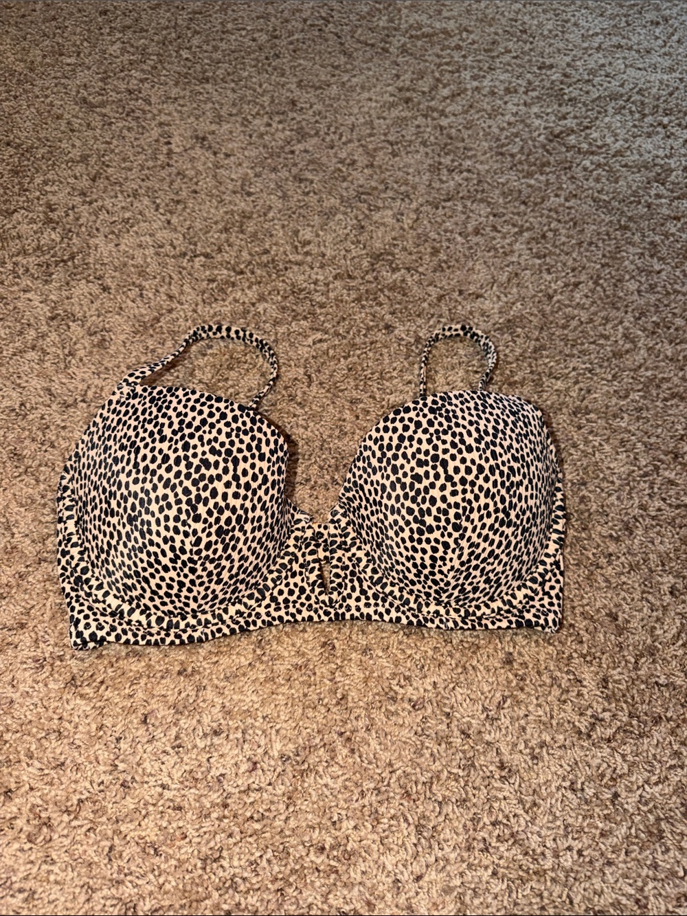 Leopard Print Padded Bikini Top in Black & White